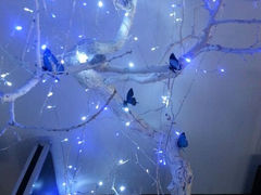android_upload_pic-豆花酒楼·三十八年匠心(秦皇东大街店)
