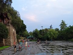 -桂湖森林公园