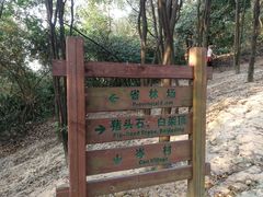 -火炉山森林公园