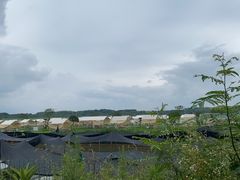 -梁子湖东篱老屋生态庄园