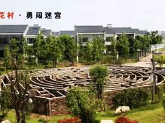 -杏花村文化旅游区