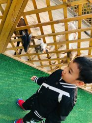 -萌宠亲子动物乐园(槐房万达店)