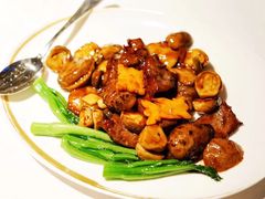 -金轩中餐厅 Jin Xuan(浦东丽思卡尔顿酒店)