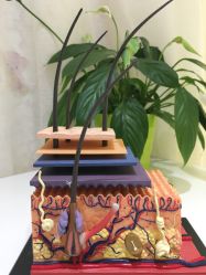 -咪咪比基尼脱毛专业店