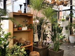 -北马山庄植趣咖啡