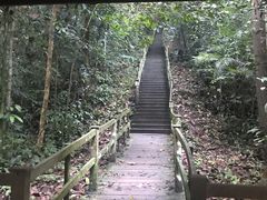 -乌鲁淡布隆国家公园