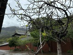 -报恩寺(平武县)