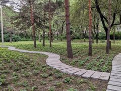 -黑龙江省森林植物园
