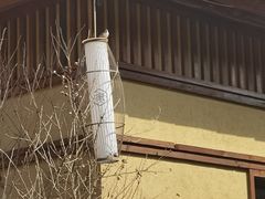 -诗经里
