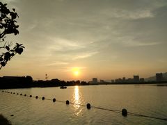 -飞来湖湿地公园