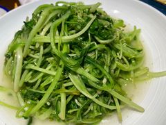 炒时蔬-大海碗·京菜炸酱面(雍和宫店)