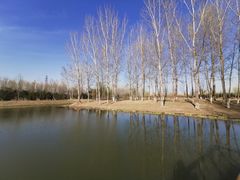 -东郊湿地公园