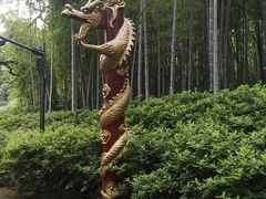 -杭州黄龙洞