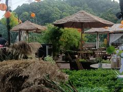 -伴山茶苑·围炉煮茶