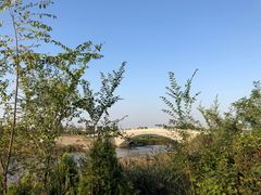 -卤阳湖国家湿地公园
