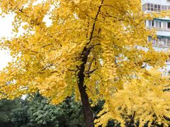 -湖南省立第一师范学校旧址