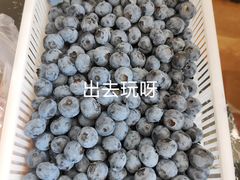 -桃源市场(解放路店)