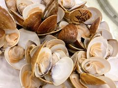 -螺涌海鲜酒楼(增槎路店)