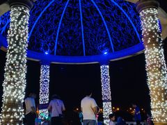 -大塘金香草谷