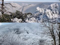 -湖州龙王山景区