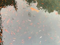-三苏祠