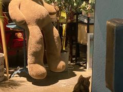 -咖法森林·咖啡  酒吧(天河店)