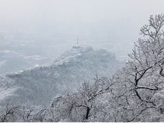 -紫金山山顶公园
