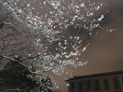 -蔡林记(广埠屯店)