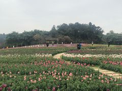 -保利石象湖景区