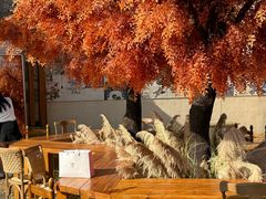 -Blue Concept Cafe&Farm·關於藍