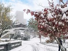 -西海子公园