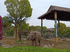 -上海野生动物园