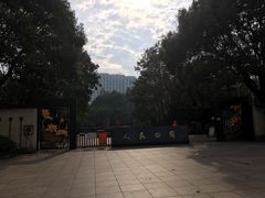 -小杨生煎(黄河路店)