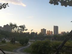 -金鸡岭桥头公园