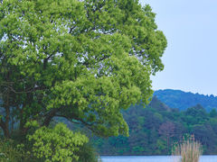 -南京市无想山景区