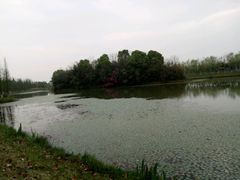 -艾溪湖湿地公园