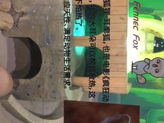 -萌宠奇缘