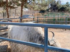 -长白岛森林公园