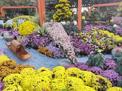 -南山植物园