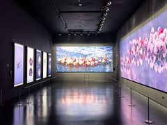 -罗红摄影艺术馆