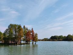 -贡湖湾湿地公园