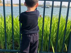 -迪士尼乐园停车场
