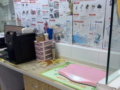 -芭比堂动物医院(广州爱宠下渡路分院)