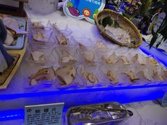 -澜悦港海鲜体验主题餐厅