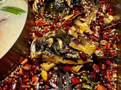 -味之绝·美蛙鱼头火锅(科巷店)