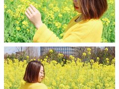 -杭州城北体育公园