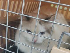 -联合动物医院(光谷诊疗中心)