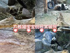 -宁波野生动物园