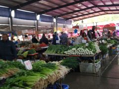 -树木岭集贸市场(劳动东路)