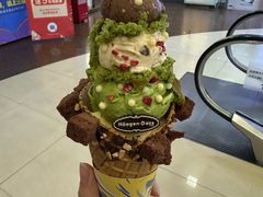 -哈根达斯(华星店)